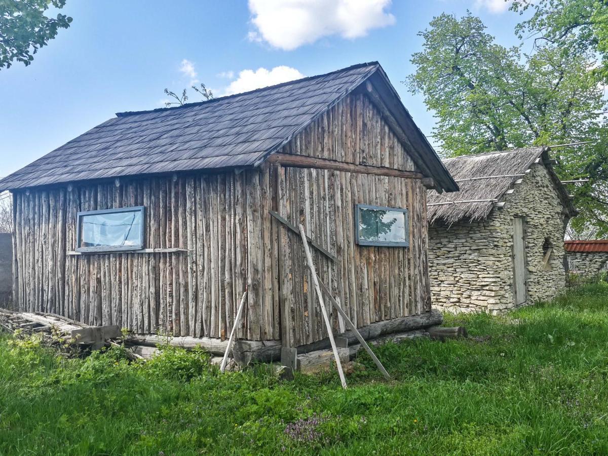 Fata Verde Soldanesti Exterior foto