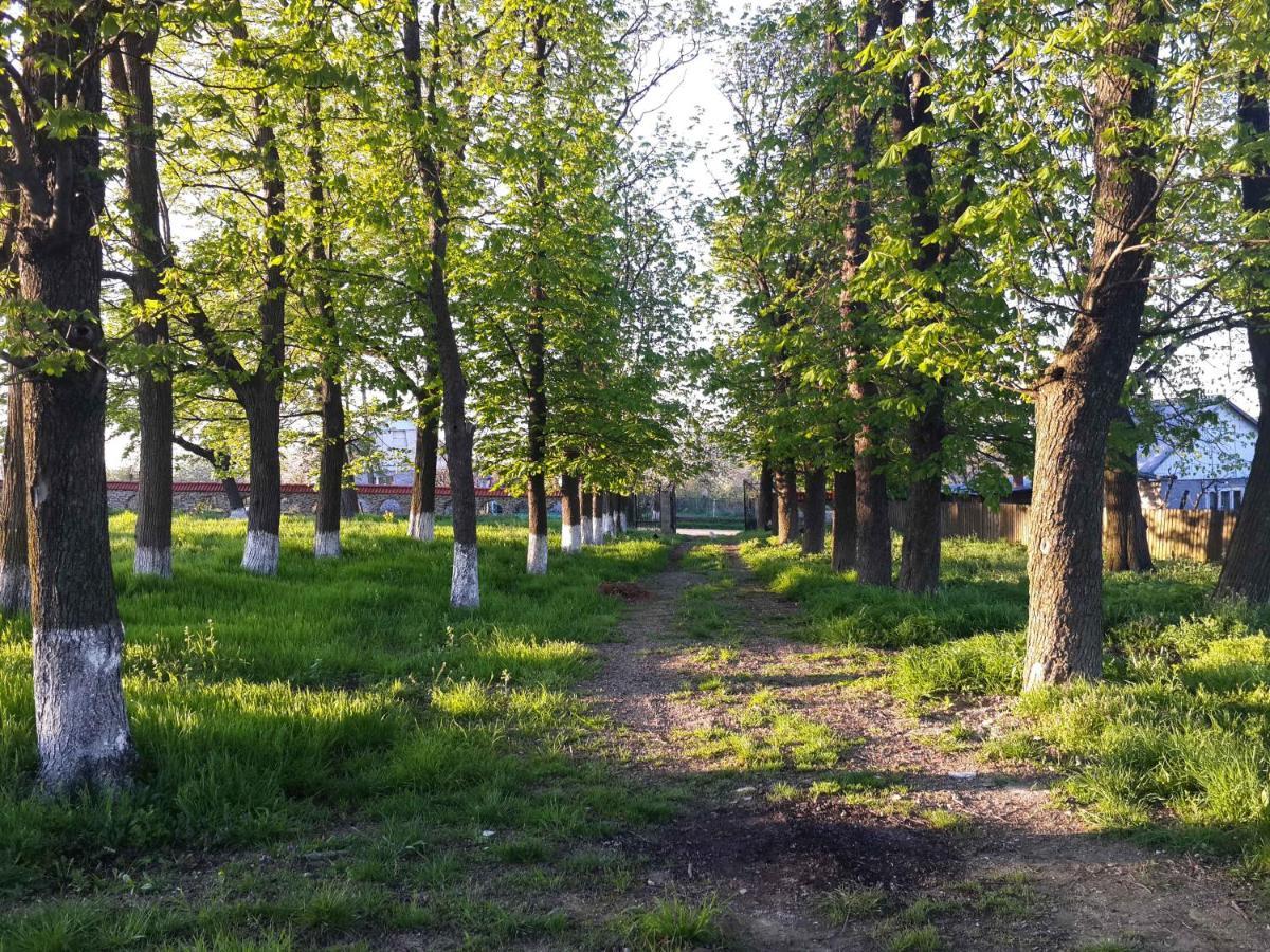 Fata Verde Soldanesti Exterior foto